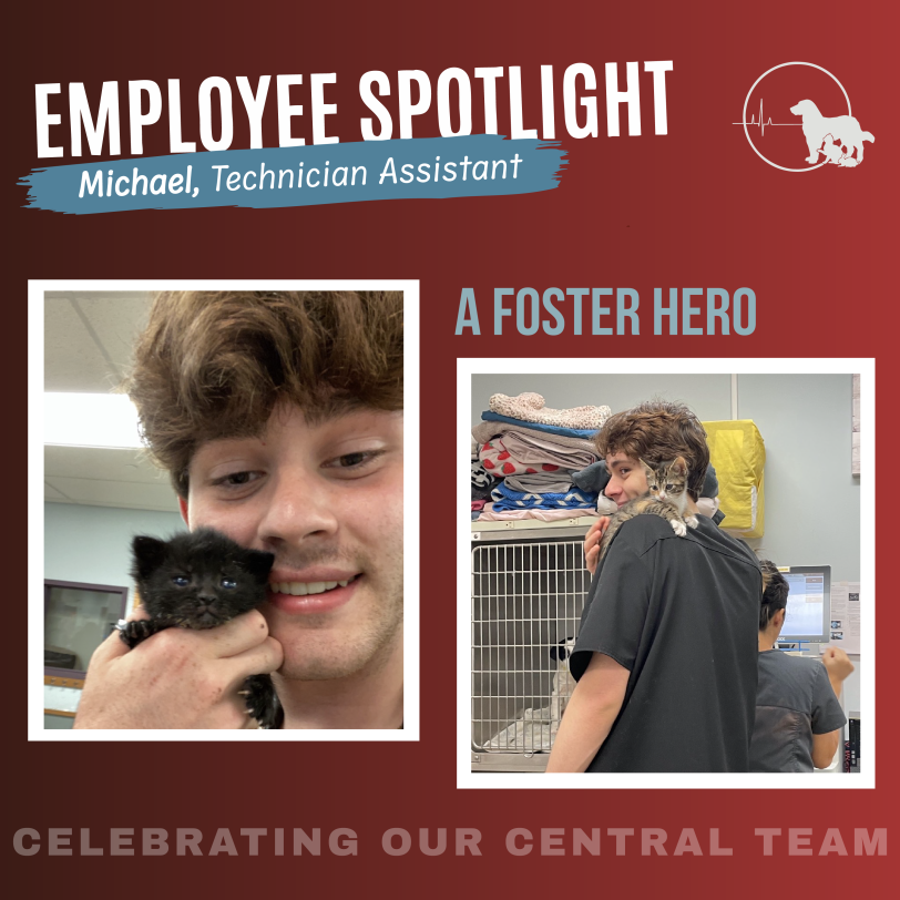 Employee Spotlight: Michael, A Foster Hero